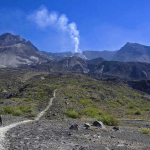 Mount St. Helens Experience $ 246.60